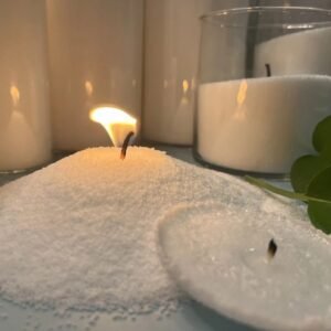 شمع الطوز الثلجي